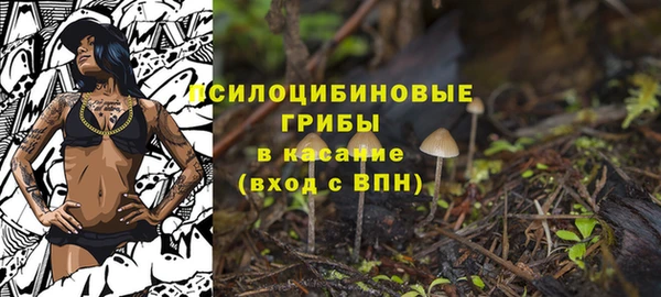 мяу мяу мука Надым