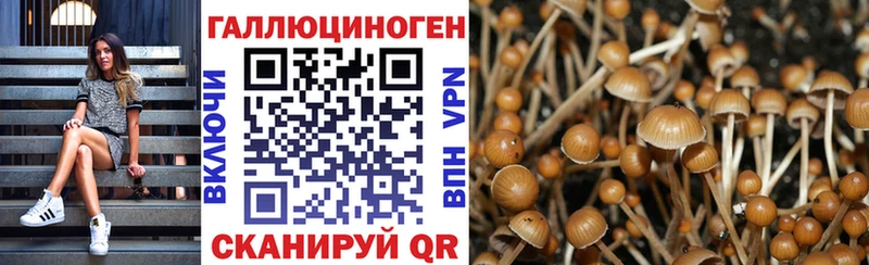 где купить наркоту  Улан-Удэ  Галлюциногенные грибы Psilocybine cubensis 