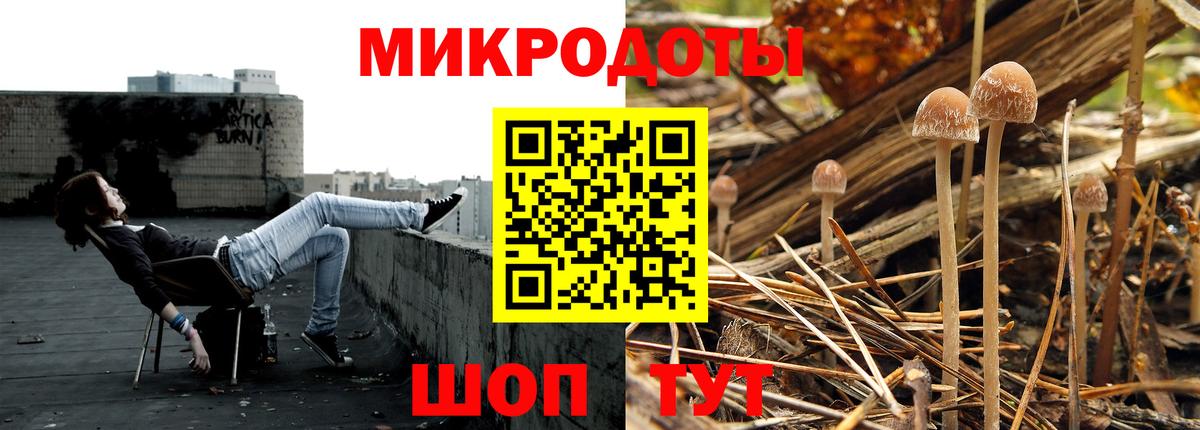Улан-Удэ  Галлюциногенные грибы Psilocybine cubensis  Псилоцибиновые грибы Psilocybe  Вход с VPN 